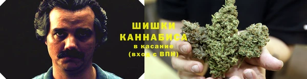 твердый Зеленокумск