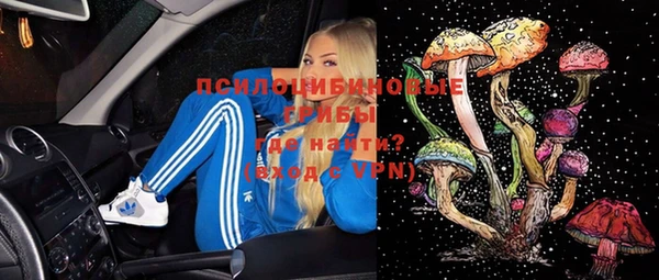 герыч Арсеньев