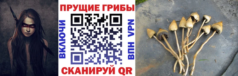 Галлюциногенные грибы Magic Shrooms  ссылка на мегу как войти  Ленск 
